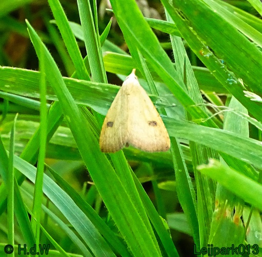 29 &amp; 30 &amp; 31 juli &amp; 1 augustus 2024