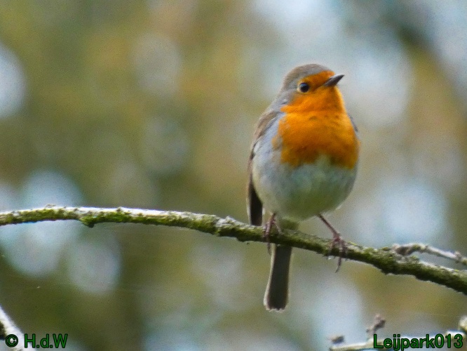 19 &amp; 20 &amp; 21 &amp; 22 maart 2025