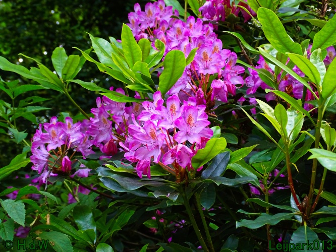 11 &amp; 12 &amp; 13 &amp; 14 juni 2024