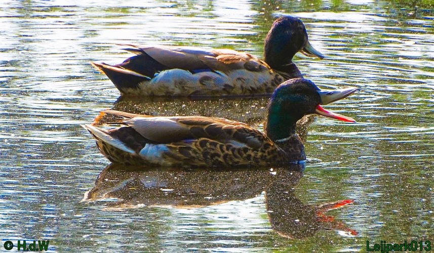 11 &amp; 12 &amp; 13 &amp; 14 juni 2024