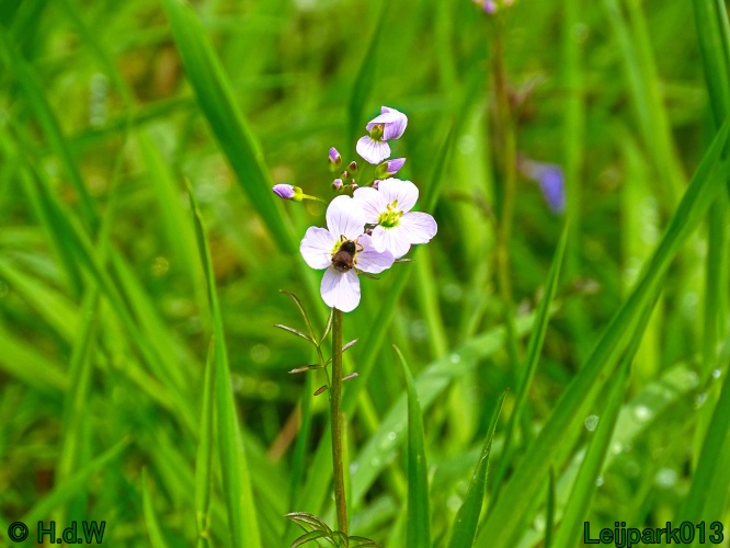 30 april 1 &amp; 2 &amp; 3 mei 2024