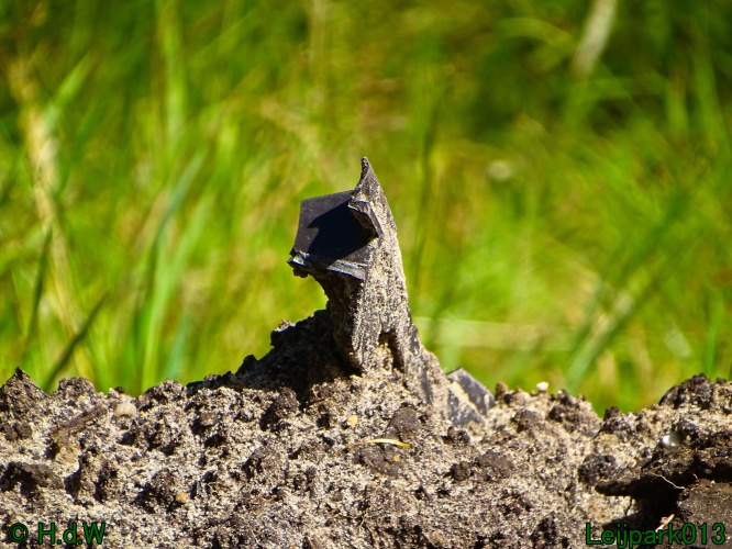 9 &amp; 10 &amp; 11 &amp; 12 juli 2024