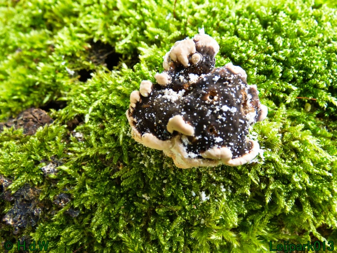 1 &amp; 2 &amp; 3 &amp; 4 oktober 2024