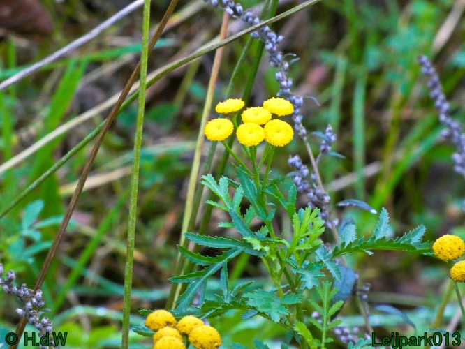 10 &amp; 11 &amp; 12 &amp; 13 november 2024