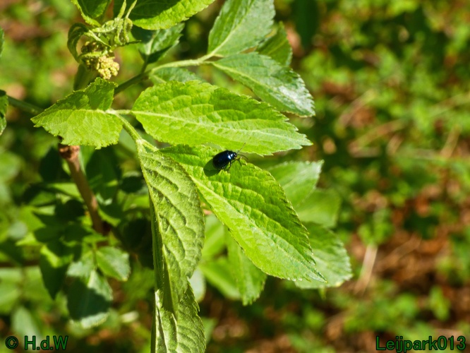 3 &amp; 4 &amp; 5 &amp; 6 april 2025