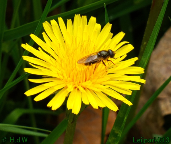 19 &amp; 20 &amp; 21 &amp; 22 maart 2025