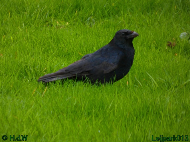 28 &amp; 29 &amp; 30 &amp; 31 oktober 2025