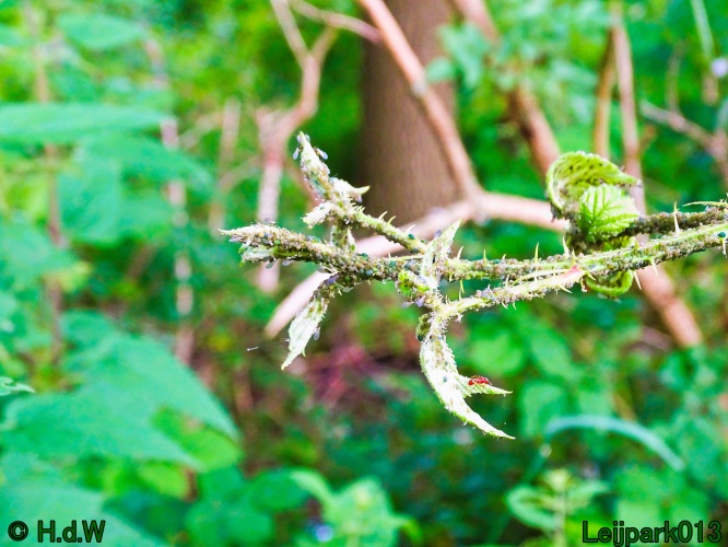 11 &amp; 12 &amp; 13 &amp; 14 juni 2024