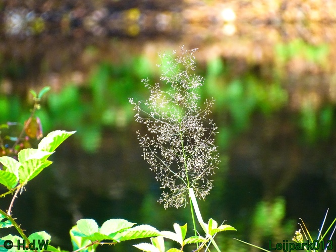 5 &amp; 6 &amp; 7 &amp; 8 juli 2024