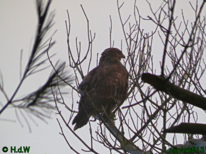 1 &amp; 2 &amp; 3 &amp; 4 januari 2025