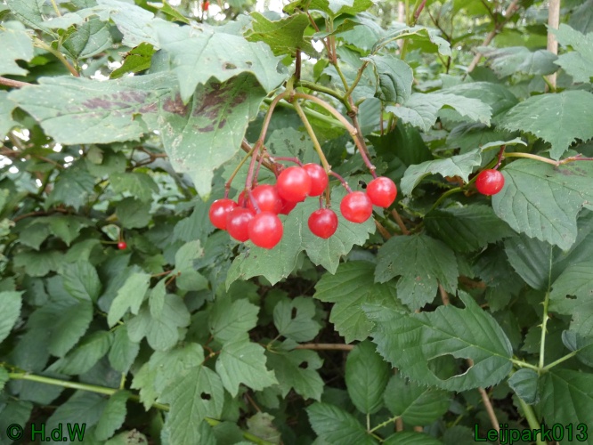 1 &amp; 2 &amp; 3 &amp; 4 oktober 2024