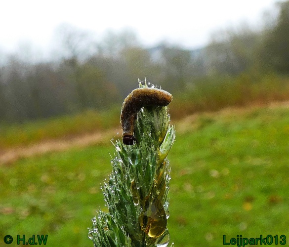 2 &amp; 3 &amp; 4 &amp; 5 November 2024