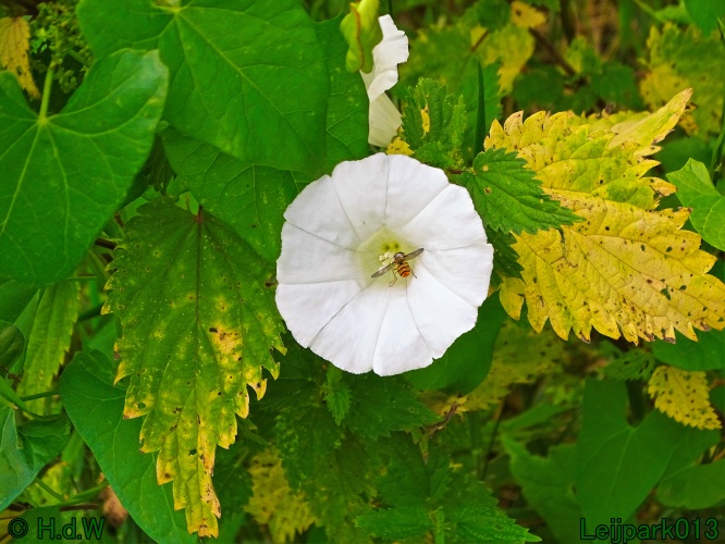 25 &amp; 26 &amp; 27 &amp; 28 juli 2024