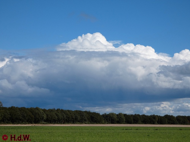 Landal Orveltermarke