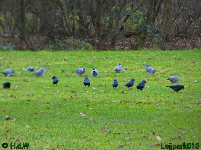 16 &amp; 17 &amp; 18 &amp; 19 december 2024