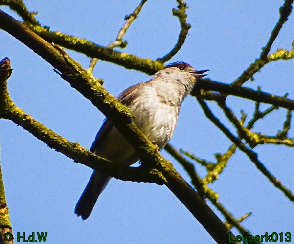 5 &amp; 6 &amp; 7 &amp; 8 juli 2024