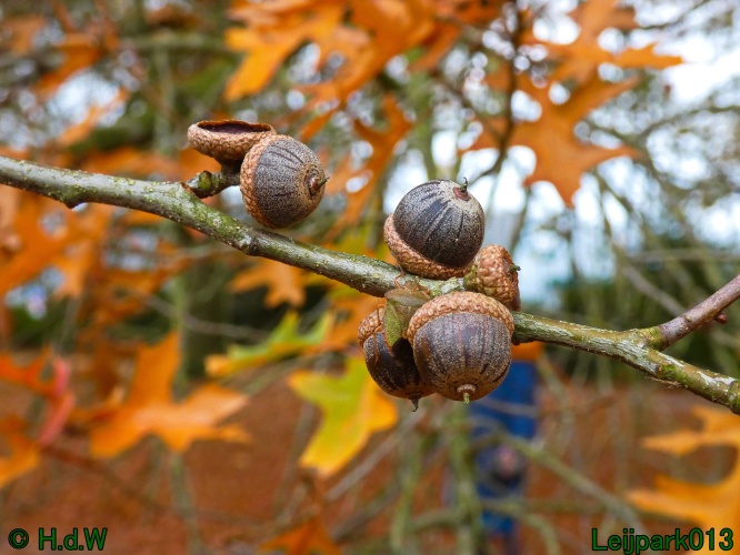 30 november &amp; 1 &amp; 2 &amp; 3 december 2024