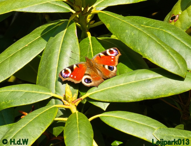 3 &amp; 4 &amp; 5 &amp; 6 april 2025