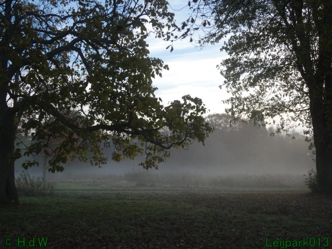 3 november 2024 Vanmorgenwas er mist in het Leijpark