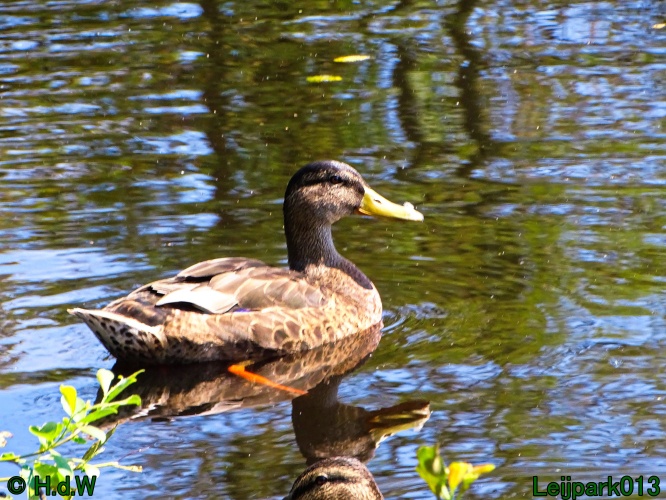 25 &amp; 26 &amp; 27 &amp; 28 juli 2024