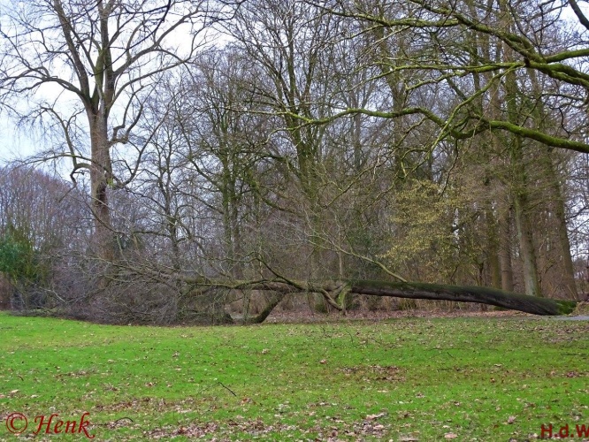 Storm terug in de tijd