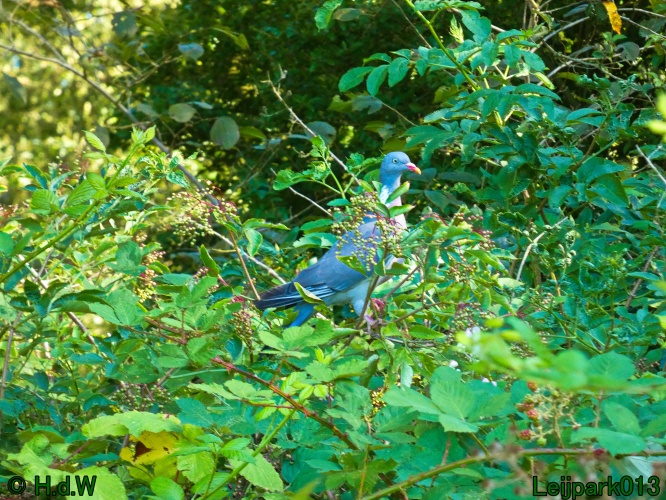 22 &amp; 23 &amp; 24 &amp; 25 augustus 2024