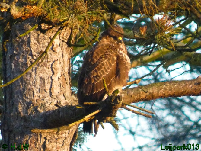 9 &amp; 10 &amp; 11 &amp; 12 januari 2025