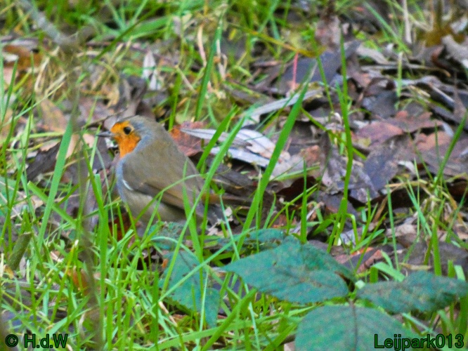 20 &amp; 21 &amp; 22 &amp; 23 december 2024