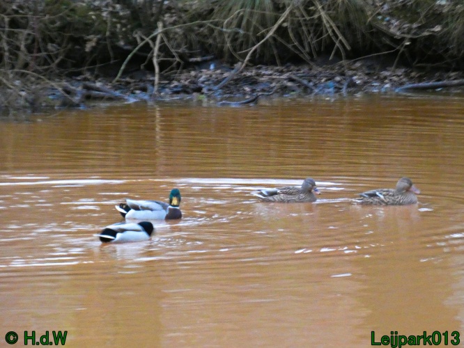 20 &amp; 21 &amp; 22 &amp; 23 december 2024