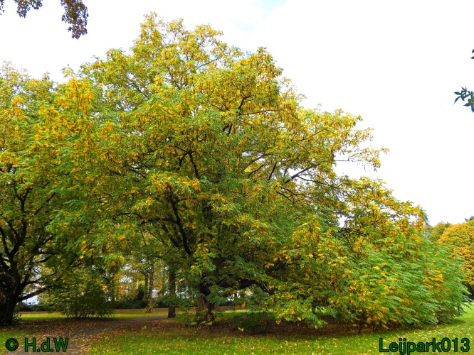 2 &amp; 3 &amp; 4 &amp; 5 November 2024