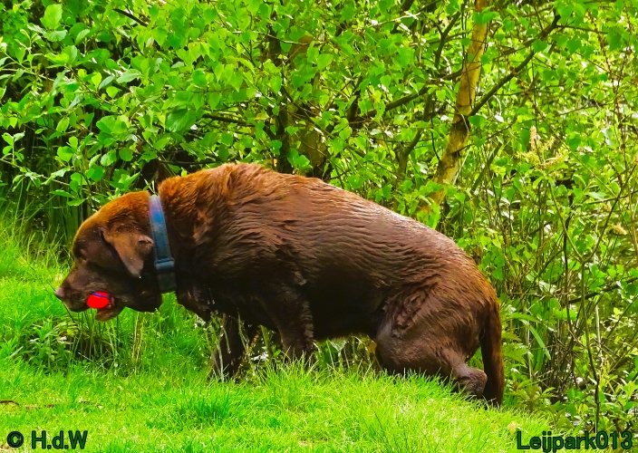 Beestenboel 12 mei 2024