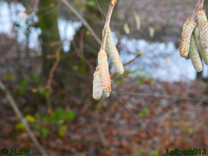 1 &amp; 2 &amp; 3 &amp; 4 januari 2025