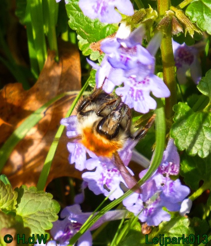 19 &amp; 20 &amp; 21 &amp; 22 maart 2025