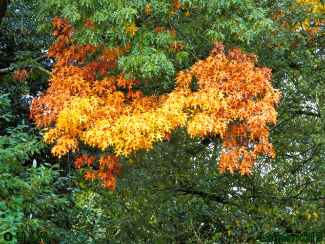 1 &amp; 2 &amp; 3 &amp; 4 oktober 2024