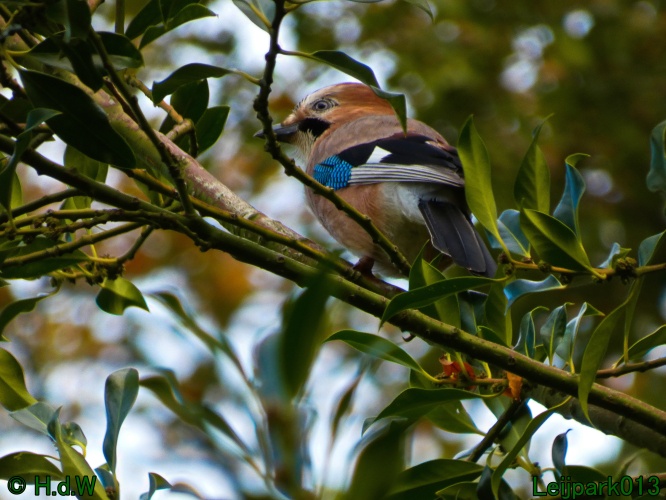 28 &amp; 29 &amp; 30 &amp; 31 oktober 2025