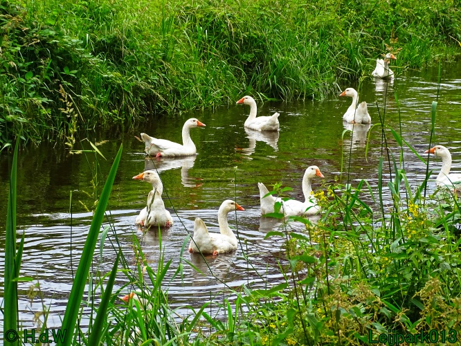 27 &amp; 28 &amp; 29 &amp; 30 juni 2024