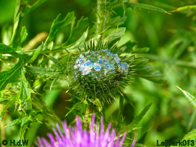 27 &amp; 28 &amp; 29 &amp; 30 juni 2024