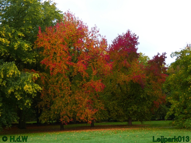 28 &amp; 29 &amp; 30 &amp; 31 oktober 2025