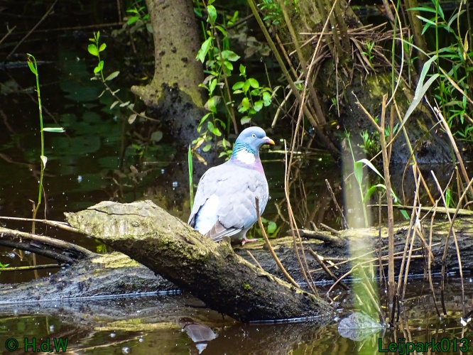 27 &amp; 28 &amp; 29 &amp; 30 juni 2024