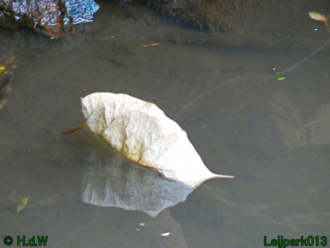 30 november &amp; 1 &amp; 2 &amp; 3 december 2024