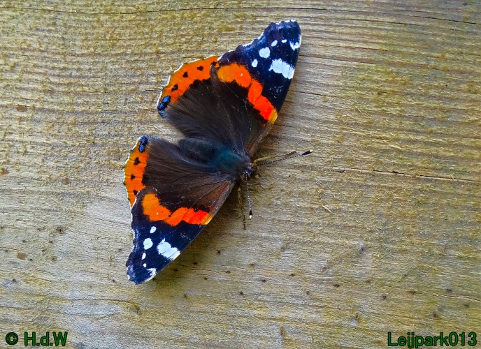 9 &amp; 10 &amp; 11 &amp; 12 juli 2024