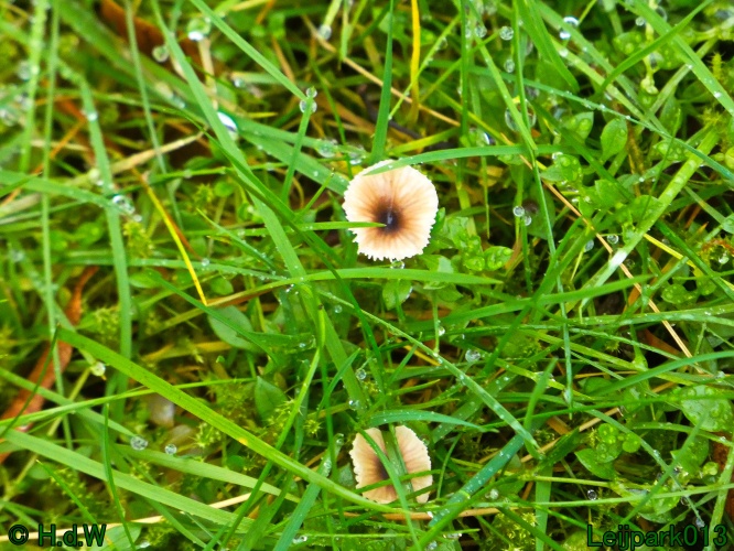 22 &amp; 23 &amp; 24 &amp; 25 november 2024