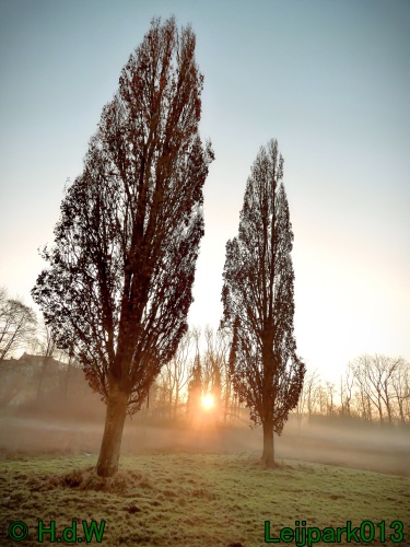 13 januari Mist en zon
