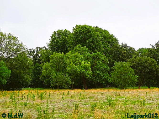 5 &amp; 6 &amp; 7 &amp; 8 juli 2024