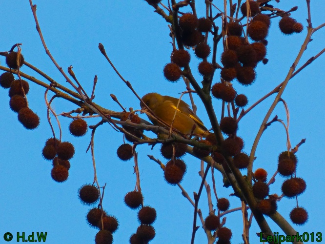 9 &amp; 10 &amp; 11 &amp; 12 januari 2025