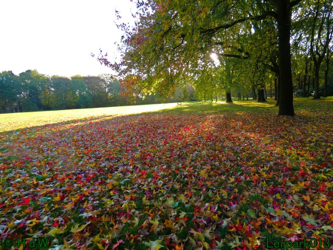 28 &amp; 29 &amp; 30 &amp; 31 oktober 2025