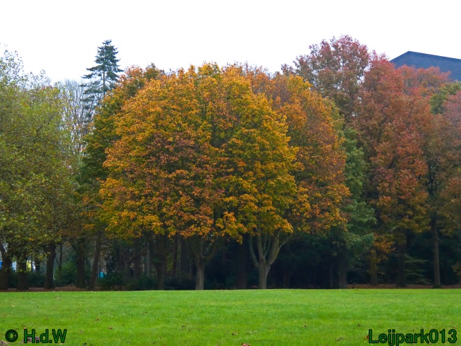 10 &amp; 11 &amp; 12 &amp; 13 november 2024