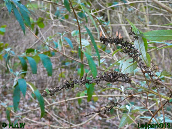 16 &amp; 17 &amp; 18 &amp; 19 december 2024