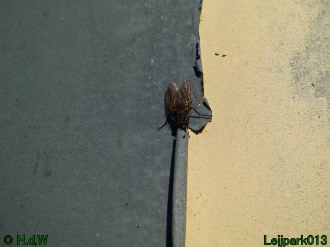 3 &amp; 4 &amp; 5 &amp; 6 april 2025