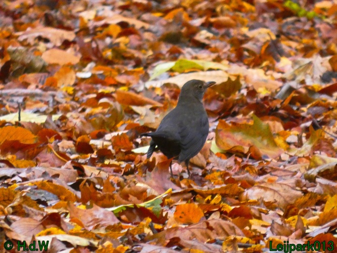 30 november &amp; 1 &amp; 2 &amp; 3 december 2024